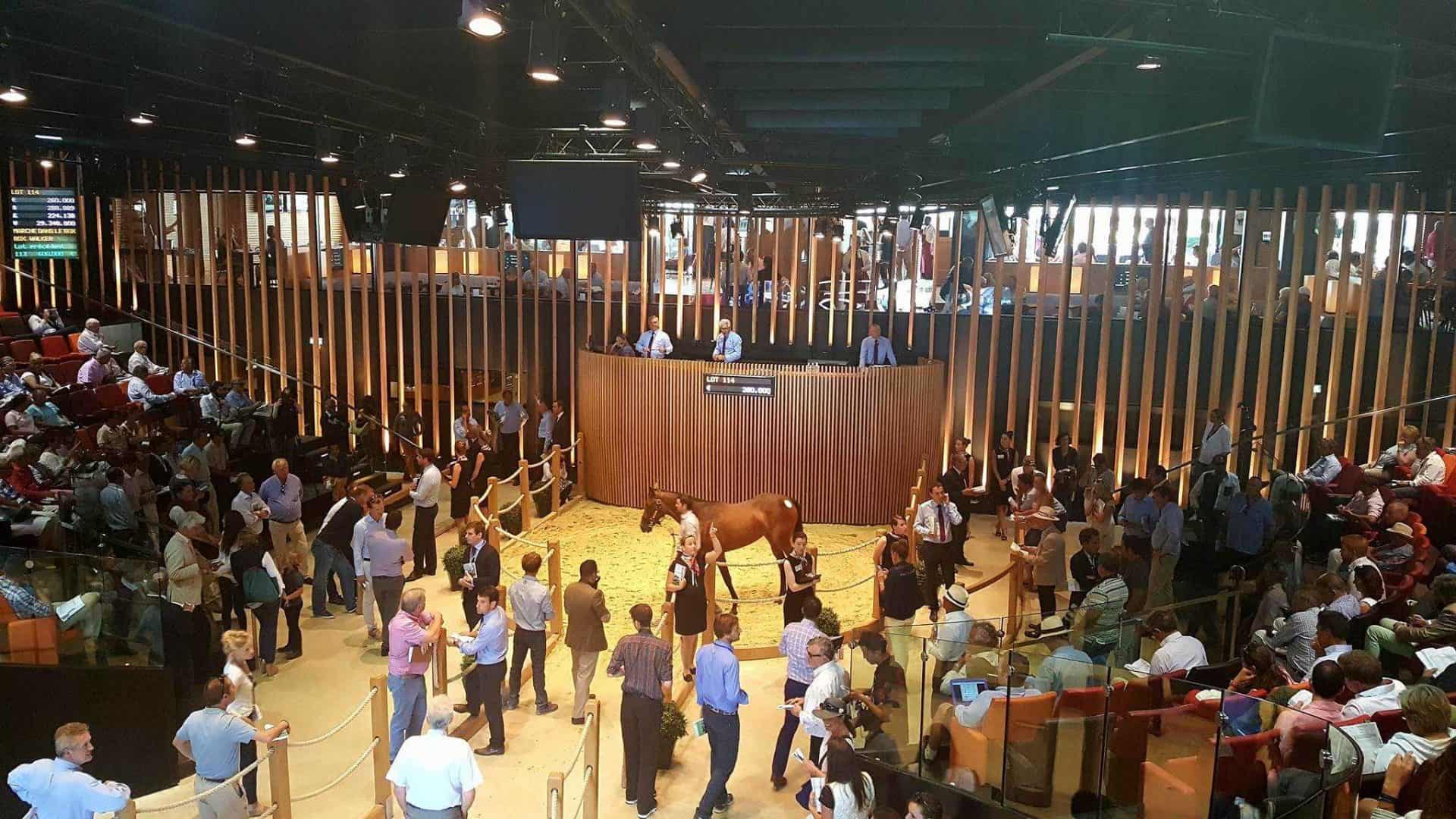 En piste vers les ventes aux enchères de chevaux En piste vers les ventes aux enchères de chevaux