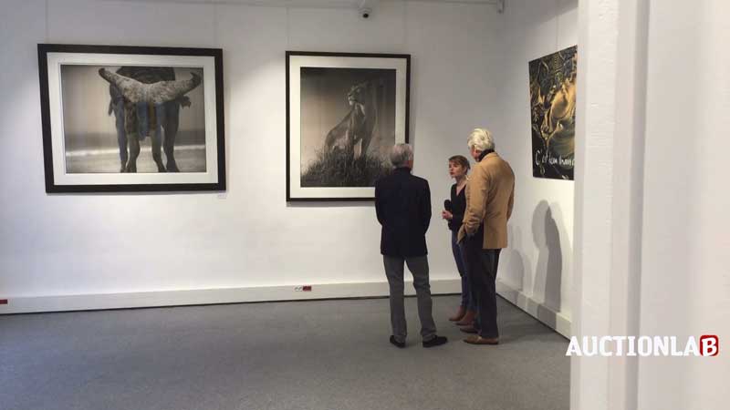 vente photographies, grandeur nature chez cornette de saint cyr